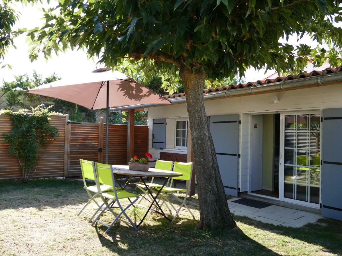 Netmust * Saint-Palais-sur-Mer
